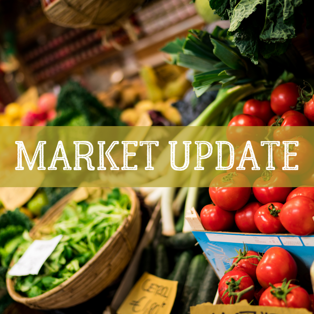 Market Update 2021-11-04