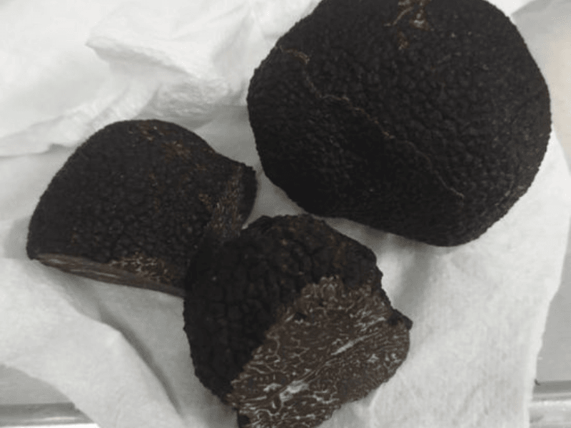 Truffles in Season | Rarity Wholesale